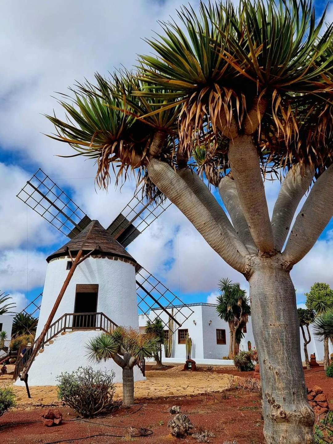 Casa Del Mar Air-Conditioned Apartment With Swimming Pools - Corralejo Playa Eksteriør bilde